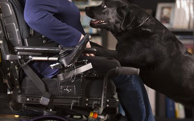 Why My Name is “Ellie”