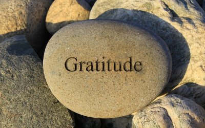 Radical Gratitude